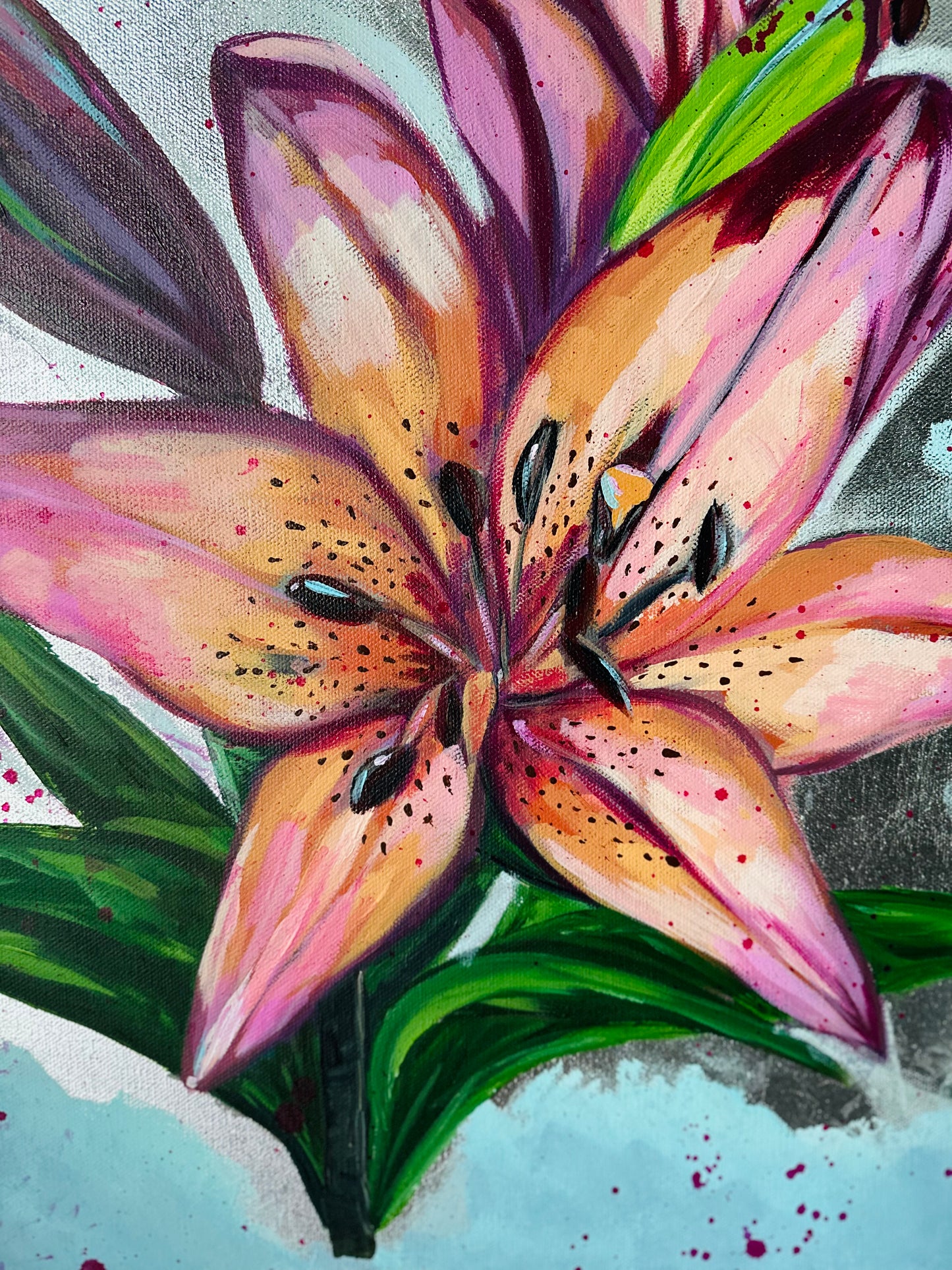 Shelley’s Lily